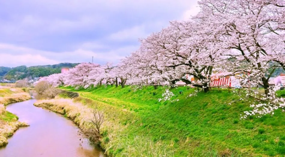 Chugoku Shikoku Region