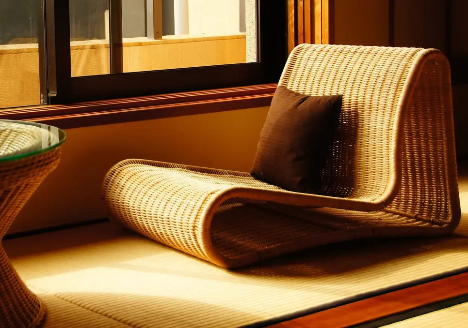 Canada Northern Lights, Kenya Great Migration, Israel Jordan