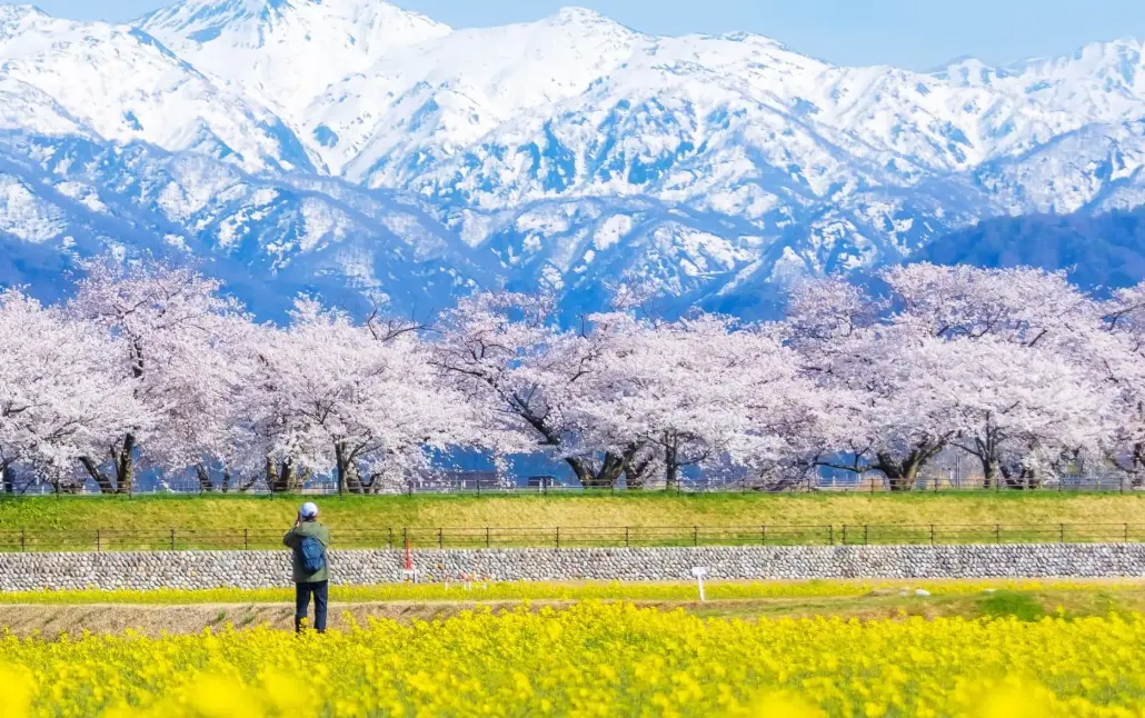 Hokkaido icebreaker, snowy mountain hot springs, Hokuriku cloud tree ice, Kanto Kusatsu, Yufuin..